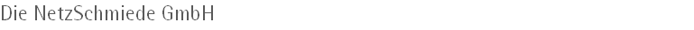 Die NetzSchmiede GmbH Die NetzSchmiede GmbH